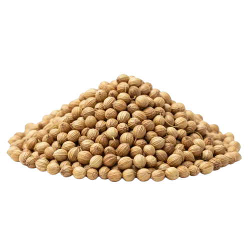 Coriander Seeds