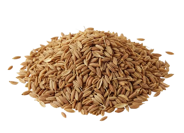 Cumin Seeds